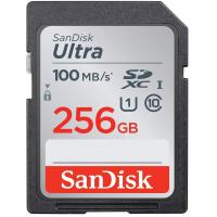 256 GB SANDISK SDSDUNR-256G-GN6IN 90/MB 256GB ULT SD C10